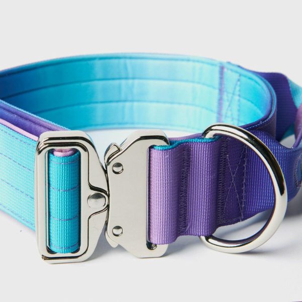 Comfort Control Collar Set – 90s Retro | Spark Paws Comfort Control Dog Collar Comfort Control Dog Collar 90s Retro