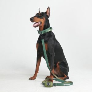 Comfort Control Collar Set – Army Green | Spark Paws Comfort Control Dog Collar Comfort Control Dog Collar Army Green