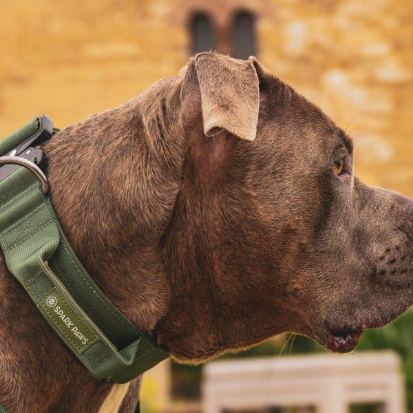 Comfort Control Collar Set – Army Green | Spark Paws Comfort Control Dog Collar Comfort Control Dog Collar Army Green