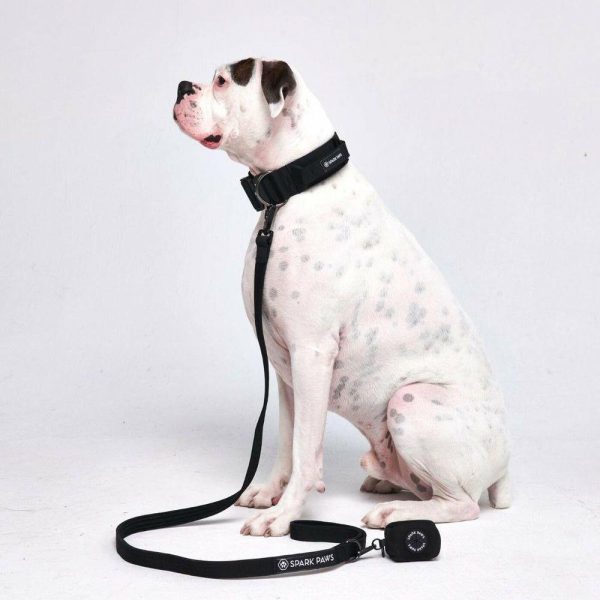 Comfort Control Collar Set – Black | Spark Paws Comfort Control Dog Collar Comfort Control Dog Collar Black