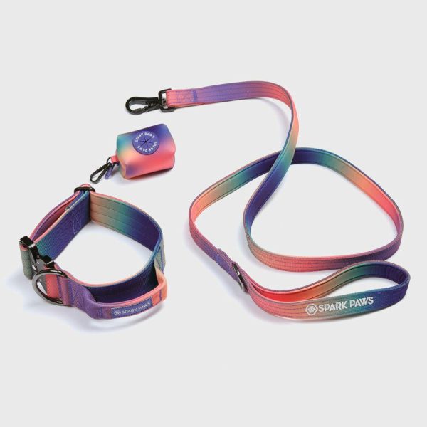 Comfort Control Collar Set – Kaleidoscope | Spark Paws Comfort Control Dog Collar Comfort Control Dog Collar Comfort Control Dog Collar