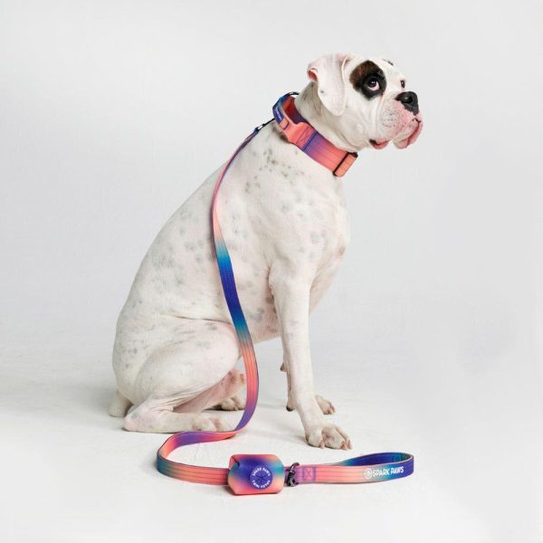 Comfort Control Collar Set – Kaleidoscope | Spark Paws Comfort Control Dog Collar Comfort Control Dog Collar Comfort Control Dog Collar