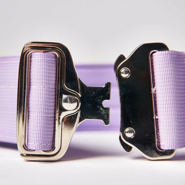 Comfort Control Collar Set – Lilac | Spark Paws Comfort Control Dog Collar Comfort Control Dog Collar Comfort Control Dog Collar