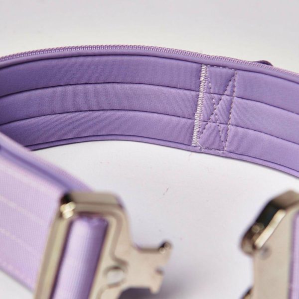 Comfort Control Collar Set – Lilac | Spark Paws Comfort Control Dog Collar Comfort Control Dog Collar Comfort Control Dog Collar