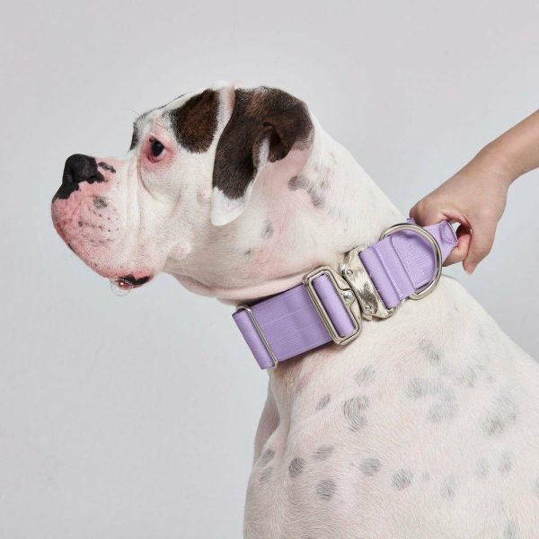 Comfort Control Collar Set – Lilac | Spark Paws Comfort Control Dog Collar Comfort Control Dog Collar Comfort Control Dog Collar