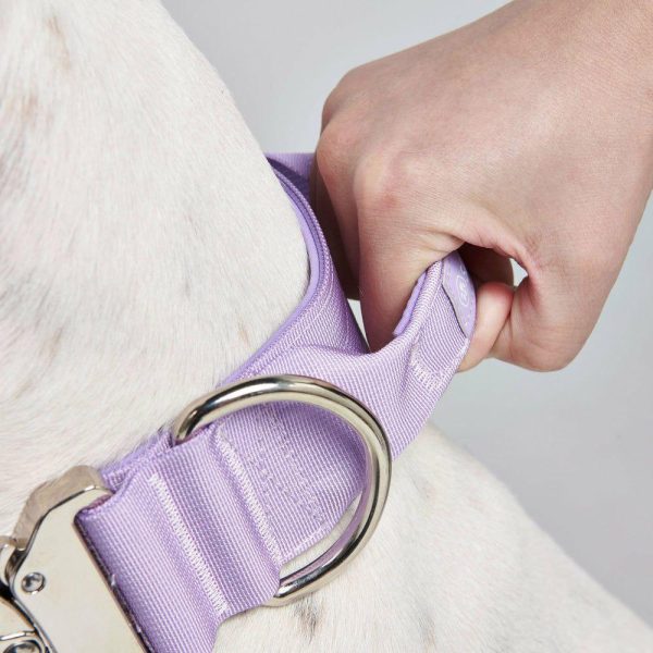 Comfort Control Collar Set – Lilac | Spark Paws Comfort Control Dog Collar Comfort Control Dog Collar Comfort Control Dog Collar