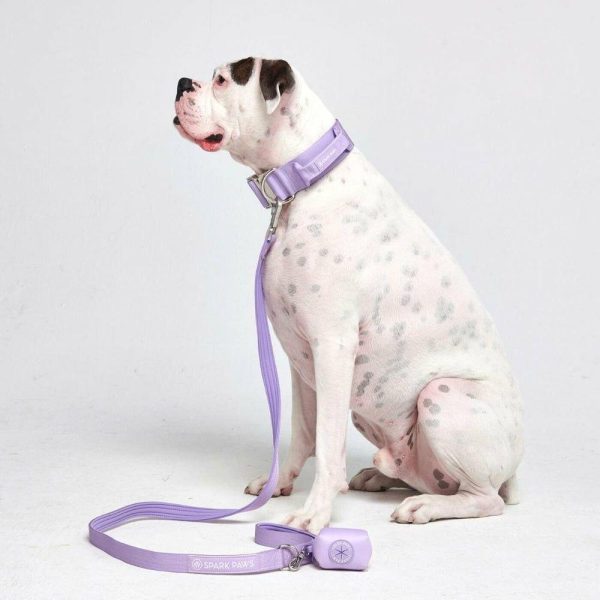 Comfort Control Collar Set – Lilac | Spark Paws Comfort Control Dog Collar Comfort Control Dog Collar Comfort Control Dog Collar