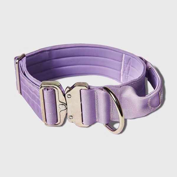 Comfort Control Collar Set – Lilac | Spark Paws Comfort Control Dog Collar Comfort Control Dog Collar Comfort Control Dog Collar