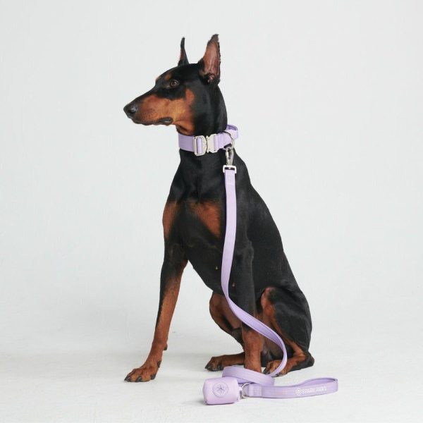 Comfort Control Collar Set – Lilac | Spark Paws Comfort Control Dog Collar Comfort Control Dog Collar Comfort Control Dog Collar