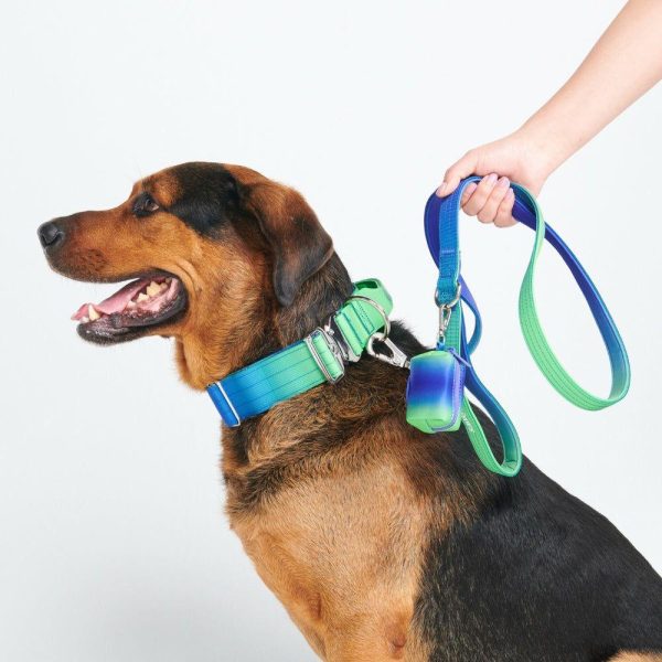 Comfort Control Collar Set – Lime Wave | Spark Paws Comfort Control Dog Collar Comfort Control Dog Collar Comfort Control Dog Collar