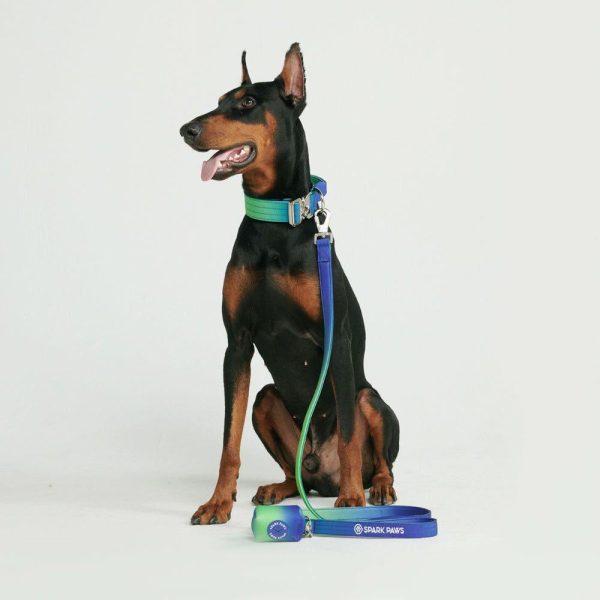 Comfort Control Collar Set – Lime Wave | Spark Paws Comfort Control Dog Collar Comfort Control Dog Collar Comfort Control Dog Collar