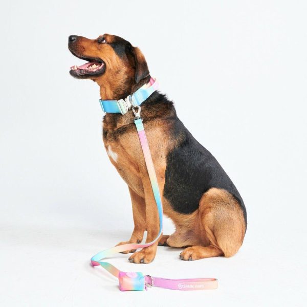 Comfort Control Collar Set – Pastel Icing | Spark Paws Comfort Control Dog Collar Comfort Control Dog Collar Comfort Control Dog Collar