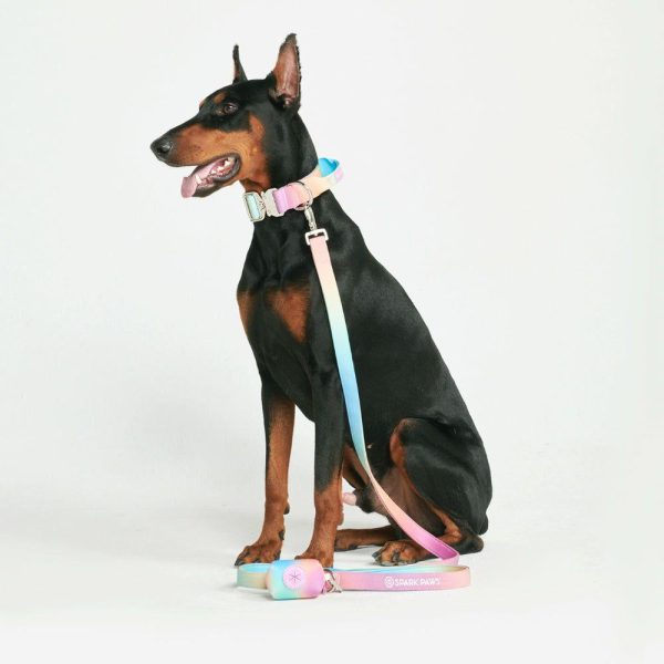 Comfort Control Collar Set – Pastel Icing | Spark Paws Comfort Control Dog Collar Comfort Control Dog Collar Comfort Control Dog Collar