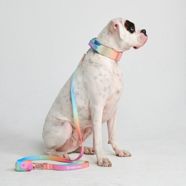 Comfort Control Collar Set – Pastel Icing | Spark Paws Comfort Control Dog Collar Comfort Control Dog Collar Comfort Control Dog Collar