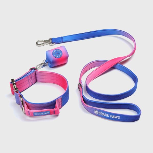 Comfort Control Collar Set – Snow Cone | Spark Paws Comfort Control Dog Collar Comfort Control Dog Collar Comfort Control Dog Collar