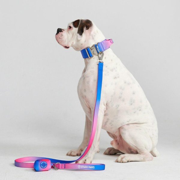 Comfort Control Collar Set – Snow Cone | Spark Paws Comfort Control Dog Collar Comfort Control Dog Collar Comfort Control Dog Collar