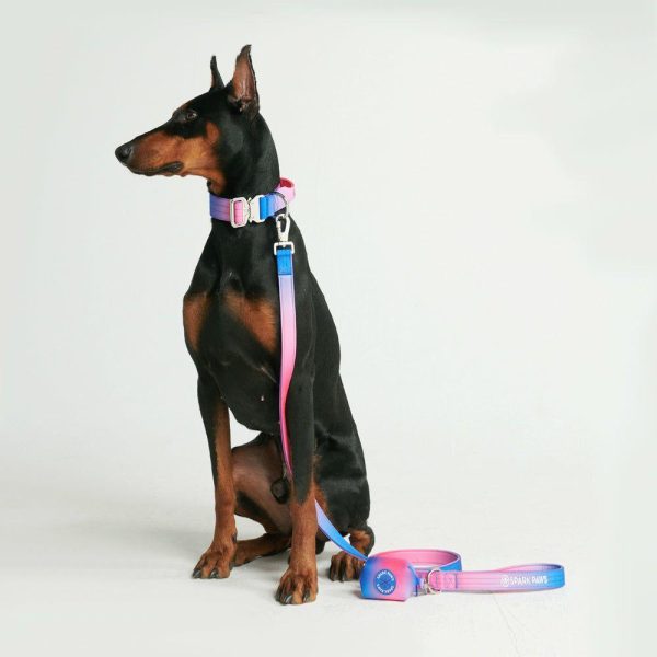 Comfort Control Collar Set – Snow Cone | Spark Paws Comfort Control Dog Collar Comfort Control Dog Collar Comfort Control Dog Collar