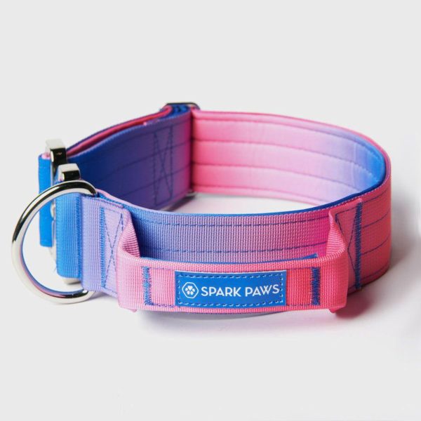 Comfort Control Collar Set – Snow Cone | Spark Paws Comfort Control Dog Collar Comfort Control Dog Collar Comfort Control Dog Collar