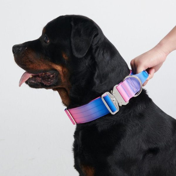 Comfort Control Collar Set – Snow Cone | Spark Paws Comfort Control Dog Collar Comfort Control Dog Collar Comfort Control Dog Collar