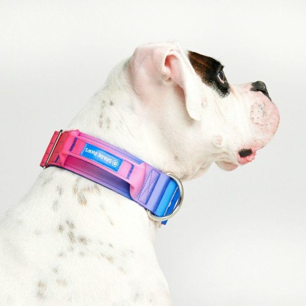 Comfort Control Collar – Snow Cone | Spark Paws Comfort Control Dog Collar Comfort Control Dog Collar Comfort Control Dog Collar