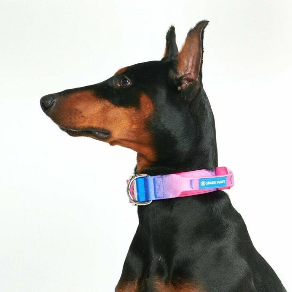 Comfort Control Collar – Snow Cone | Spark Paws Comfort Control Dog Collar Comfort Control Dog Collar Comfort Control Dog Collar