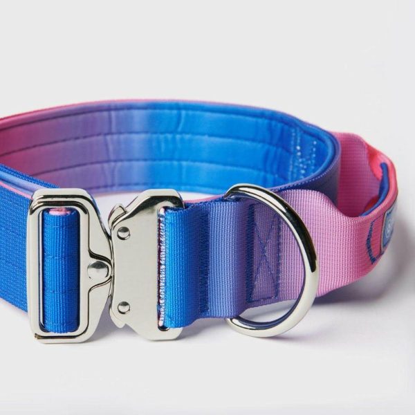 Comfort Control Collar – Snow Cone | Spark Paws Comfort Control Dog Collar Comfort Control Dog Collar Comfort Control Dog Collar