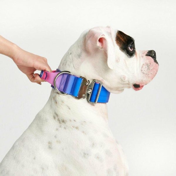 Comfort Control Collar – Snow Cone | Spark Paws Comfort Control Dog Collar Comfort Control Dog Collar Comfort Control Dog Collar