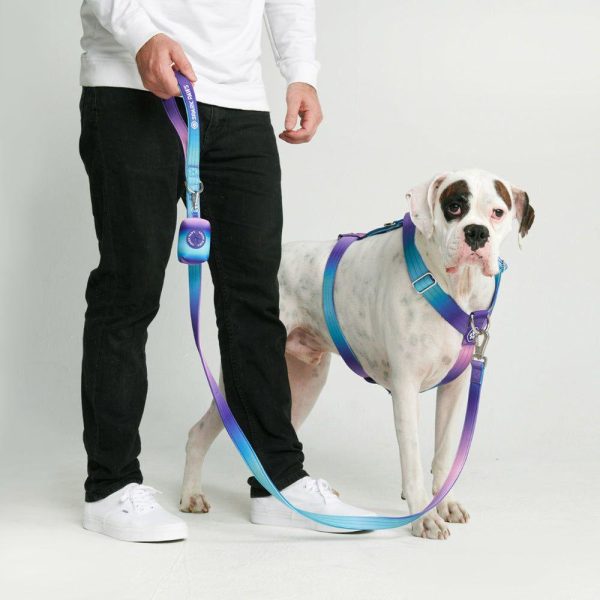 Comfort Control Dog Leash – 90s Retro | Spark Paws Comfort Control Dog Leash Comfort Control Dog Leash 90s Retro