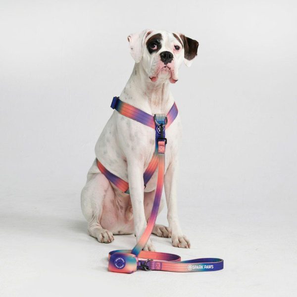 Comfort Control Dog Leash – Kaleidoscope | Spark Paws Comfort Control Dog Leash Comfort Control Dog Leash Comfort Control Dog Leash