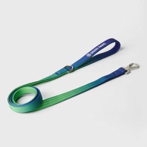 Comfort Control Dog Leash – Lime Wave | Spark Paws Comfort Control Dog Leash Comfort Control Dog Leash Comfort Control Dog Leash