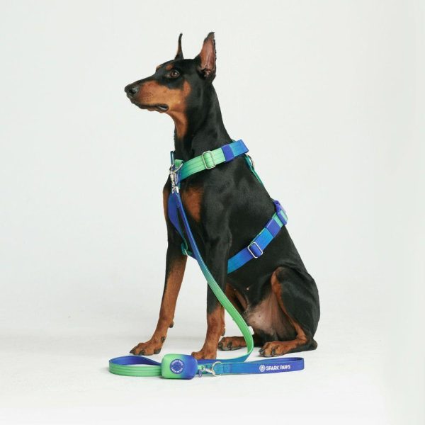 Comfort Control Dog Leash – Lime Wave | Spark Paws Comfort Control Dog Leash Comfort Control Dog Leash Comfort Control Dog Leash