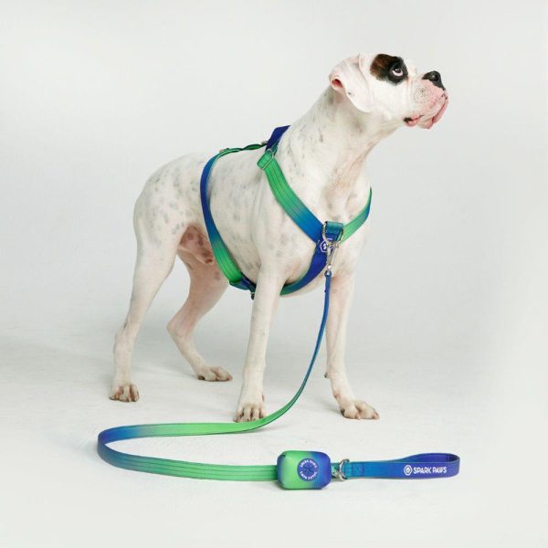 Comfort Control Dog Leash – Lime Wave | Spark Paws Comfort Control Dog Leash Comfort Control Dog Leash Comfort Control Dog Leash