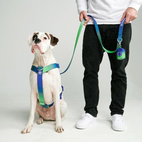 Comfort Control Dog Leash – Lime Wave | Spark Paws Comfort Control Dog Leash Comfort Control Dog Leash Comfort Control Dog Leash