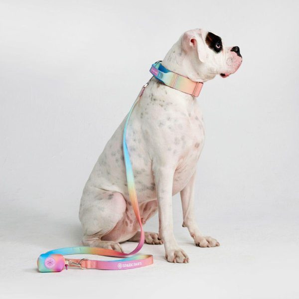 Comfort Control Dog Leash – Pastel Icing | Spark Paws Comfort Control Dog Leash Comfort Control Dog Leash Comfort Control Dog Leash