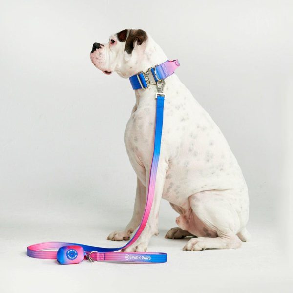 Comfort Control Dog Leash – Snow Cone | Spark Paws Comfort Control Dog Leash Comfort Control Dog Leash Comfort Control Dog Leash