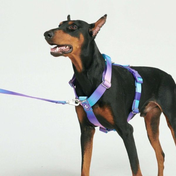 Comfort Control No-Pull Dog Harness – 90s Retro | Spark Paws No-Pull Dog Harness No-Pull Dog Harness 90s Retro