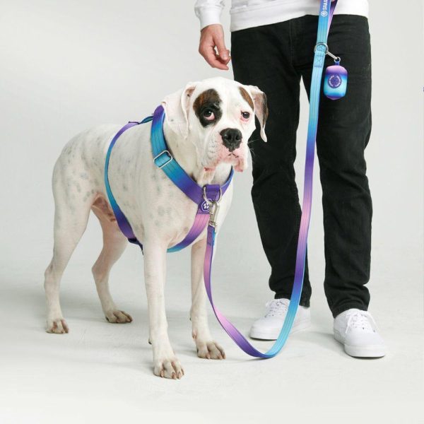 Comfort Control No-Pull Dog Harness – 90s Retro | Spark Paws No-Pull Dog Harness No-Pull Dog Harness 90s Retro