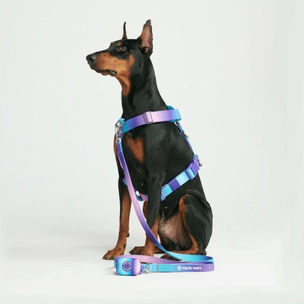 Comfort Control No-Pull Dog Harness – 90s Retro | Spark Paws No-Pull Dog Harness No-Pull Dog Harness 90s Retro