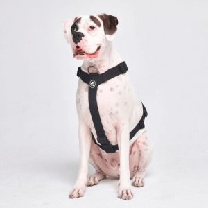 Comfort Control No-Pull Dog Harness – Black | Spark Paws No-Pull Dog Harness No-Pull Dog Harness Black