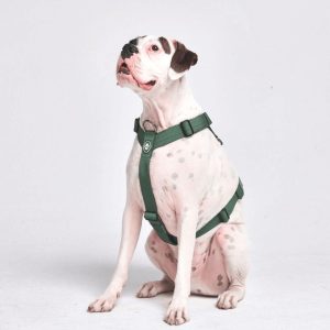 Comfort Control No-Pull Dog Harness – Green | Spark Paws No-Pull Dog Harness No-Pull Dog Harness Green