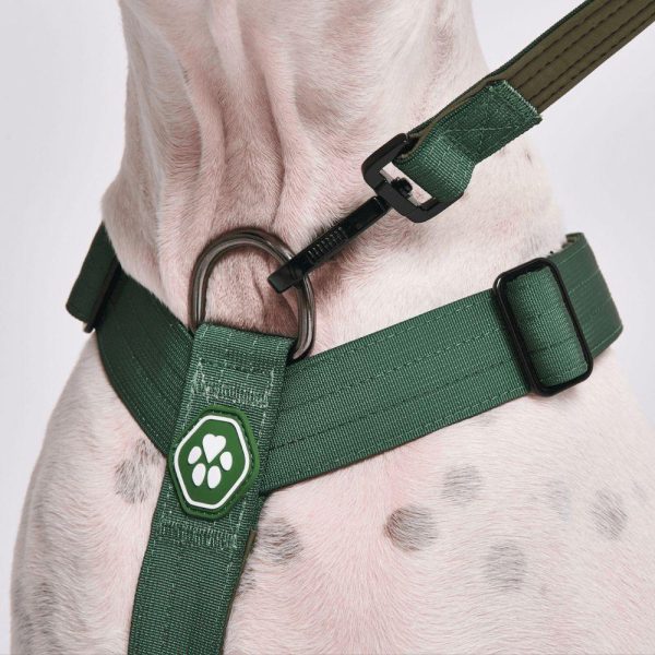 Comfort Control No-Pull Dog Harness – Green | Spark Paws No-Pull Dog Harness No-Pull Dog Harness Green