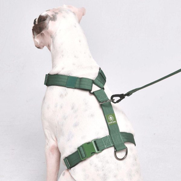 Comfort Control No-Pull Dog Harness – Green | Spark Paws No-Pull Dog Harness No-Pull Dog Harness Green