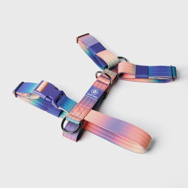 Comfort Control No-Pull Dog Harness – Kaleidoscope | Spark Paws No-Pull Dog Harness No-Pull Dog Harness Kaleidoscope