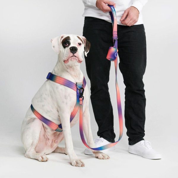 Comfort Control No-Pull Dog Harness – Kaleidoscope | Spark Paws No-Pull Dog Harness No-Pull Dog Harness Kaleidoscope