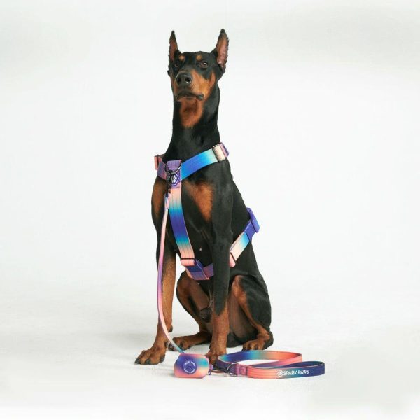 Comfort Control No-Pull Dog Harness – Kaleidoscope | Spark Paws No-Pull Dog Harness No-Pull Dog Harness Kaleidoscope