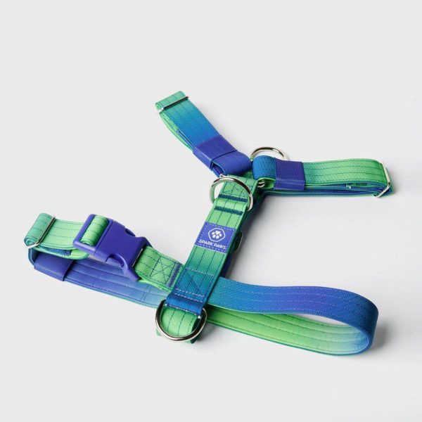 Comfort Control No-Pull Dog Harness – Lime Wave | Spark Paws No-Pull Dog Harness No-Pull Dog Harness Lime Wave