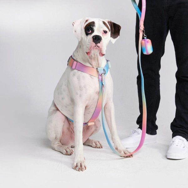 Comfort Control No-Pull Dog Harness – Pastel Icing | Spark Paws No-Pull Dog Harness No-Pull Dog Harness No-Pull Dog Harness