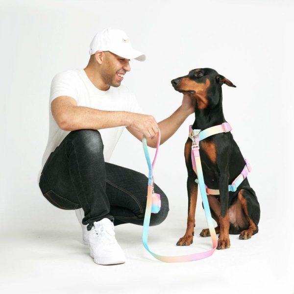 Comfort Control No-Pull Dog Harness – Pastel Icing | Spark Paws No-Pull Dog Harness No-Pull Dog Harness No-Pull Dog Harness