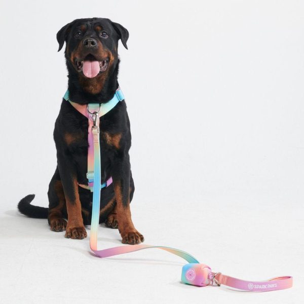 Comfort Control No-Pull Dog Harness – Pastel Icing | Spark Paws No-Pull Dog Harness No-Pull Dog Harness No-Pull Dog Harness