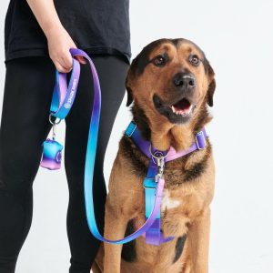 Comfort Control No-Pull Dog Harness Set – 90s Retro | Spark Paws No-Pull Dog Harness No-Pull Dog Harness 90s Retro